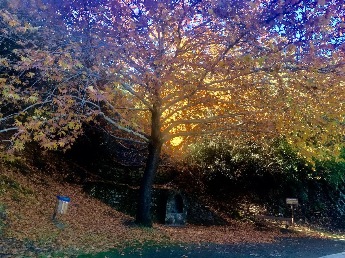 Saint Nicholas Heights Chakistra Dış mekan fotoğraf
