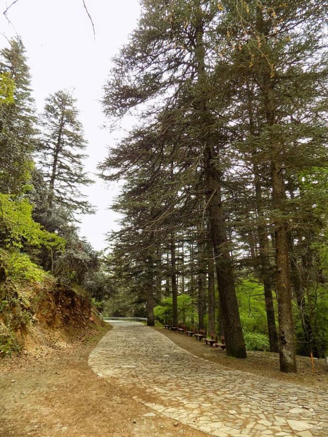 Saint Nicholas Heights Chakistra Dış mekan fotoğraf