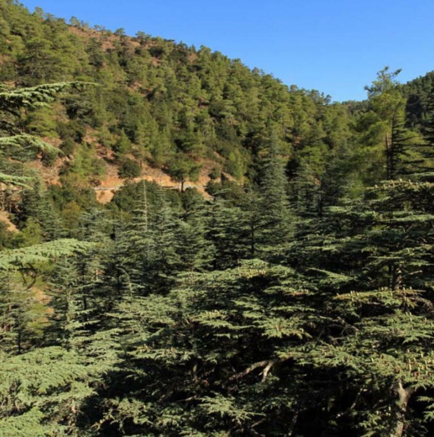Saint Nicholas Heights Chakistra Dış mekan fotoğraf