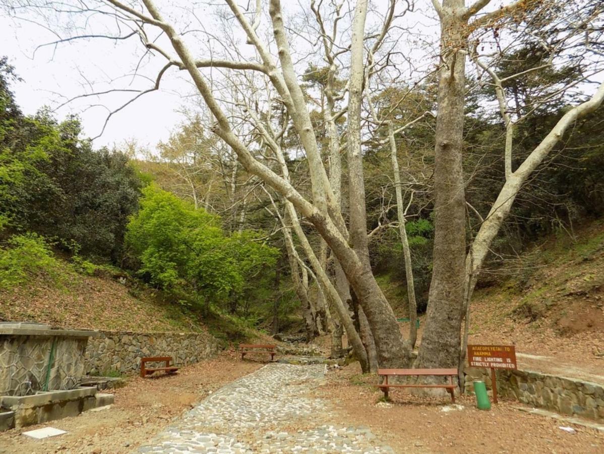 Saint Nicholas Heights Chakistra Dış mekan fotoğraf