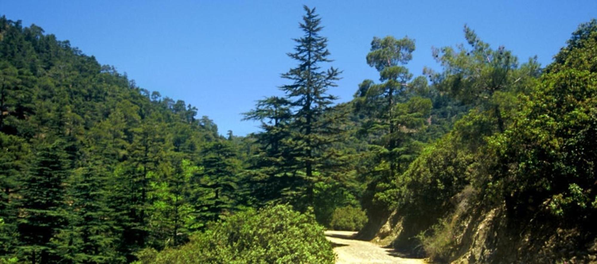 Saint Nicholas Heights Chakistra Dış mekan fotoğraf